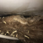 riverside hideout damaged fiberglass insulation