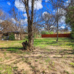 reed lane container home backyard tree