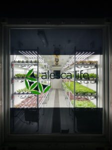 Alesca-Container-Farm-Dubai