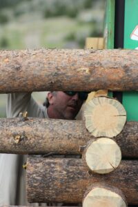 cladding the container walls with wooden logs