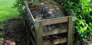 Compost Heap
