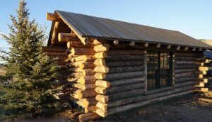 Hybrid Shipping Container and Log Cabin Home Built