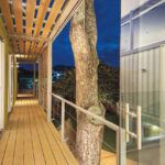 casa incubo walkway tree