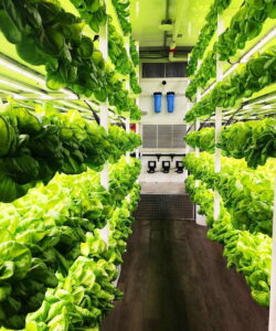 thrive-container-farm-interior